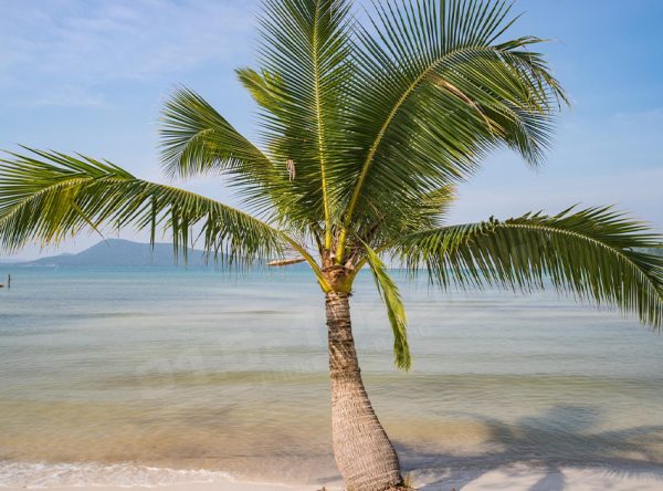 Phuket November Weather with 7 Tips